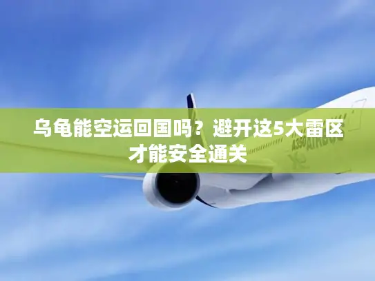 乌龟能空运回国吗？避开这5大雷区才能安全通关