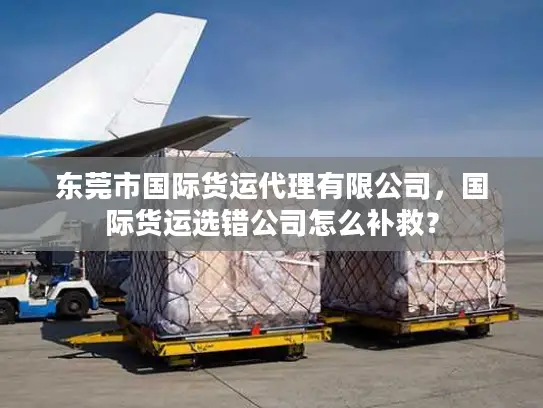 东莞市国际货运代理有限公司，国际货运选错公司怎么补救？