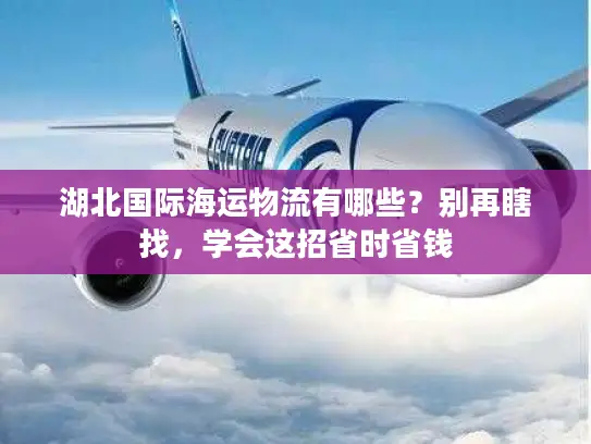 湖北国际海运物流有哪些？别再瞎找，学会这招省时省钱
