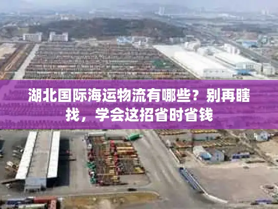 湖北国际海运物流有哪些？别再瞎找，学会这招省时省钱