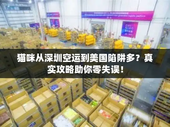 猫咪从深圳空运到美国陷阱多？真实攻略助你零失误！