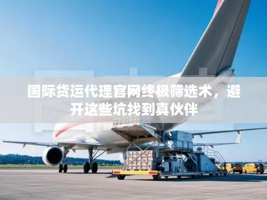 国际货运代理官网终极筛选术，避开这些坑找到真伙伴
