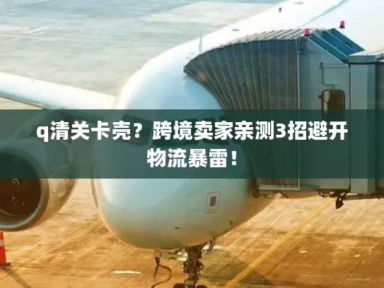 q清关卡壳？跨境卖家亲测3招避开物流暴雷！