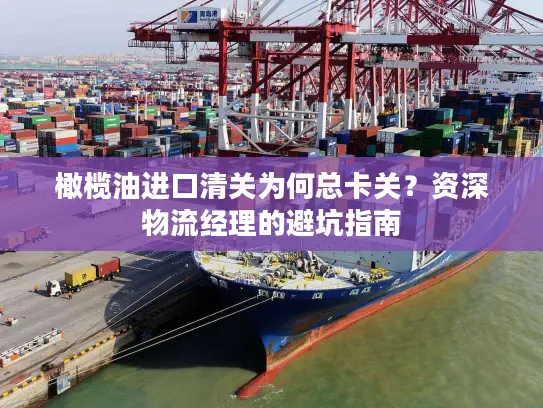 橄榄油进口清关为何总卡关？资深物流经理的避坑指南