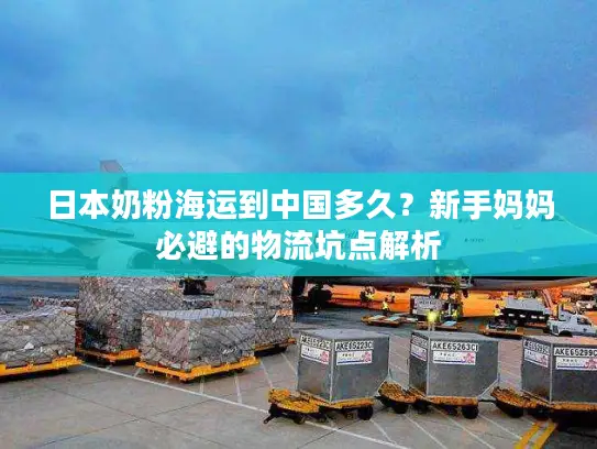 日本奶粉海运到中国多久？新手妈妈必避的物流坑点解析