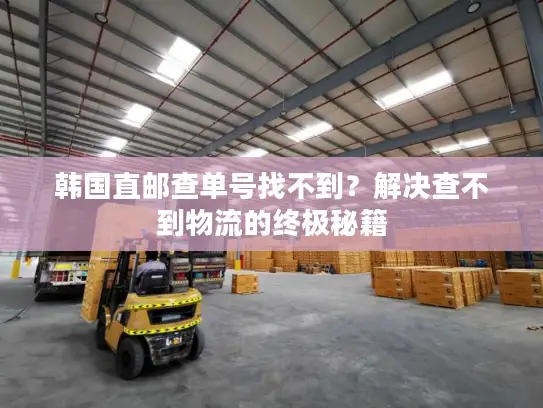 韩国直邮查单号找不到?解决查不到物流的终极秘籍 韩国直邮查单号找不到?解决查不到物流的终极秘籍