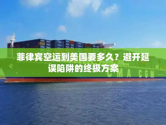 菲律宾空运到美国要多久？避开延误陷阱的终极方案