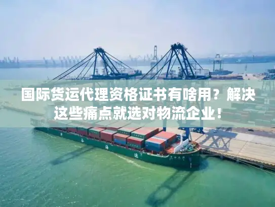 国际货运代理资格证书有啥用？解决这些痛点就选对物流企业！