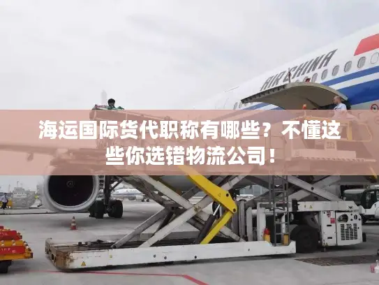 海运国际货代职称有哪些？不懂这些你选错物流公司！