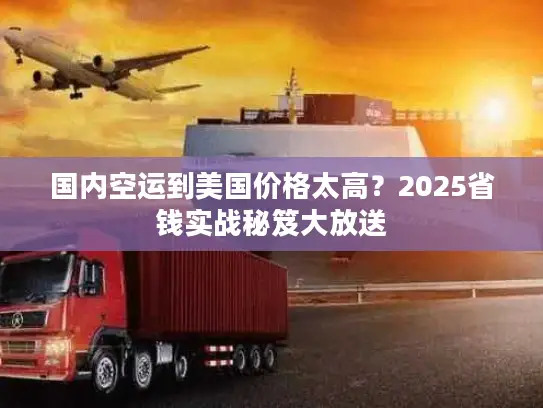 国内空运到美国价格太高？2025省钱实战秘笈大放送