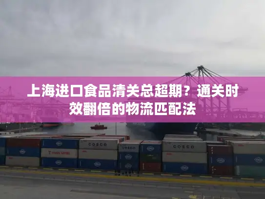 上海进口食品清关总超期？通关时效翻倍的物流匹配法
