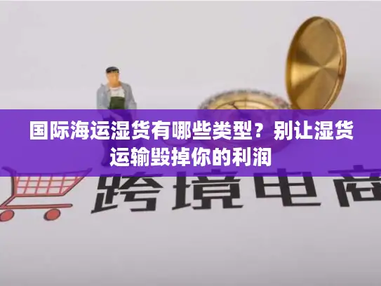国际海运湿货有哪些类型？别让湿货运输毁掉你的利润