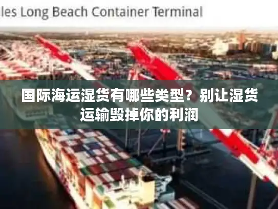 国际海运湿货有哪些类型？别让湿货运输毁掉你的利润