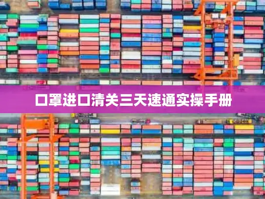 口罩进口清关三天速通实操手册