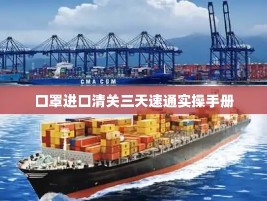 口罩进口清关三天速通实操手册