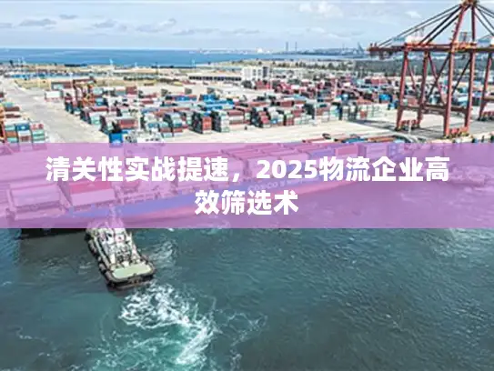 清关性实战提速，2025物流企业高效筛选术