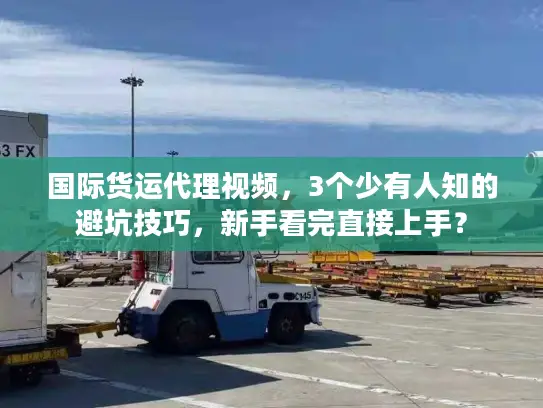国际货运代理视频，3个少有人知的避坑技巧，新手看完直接上手？