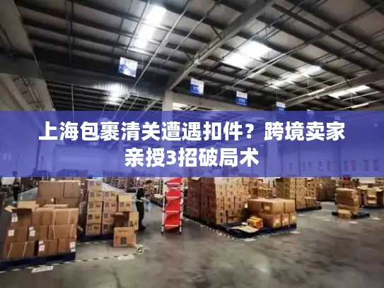 上海包裹清关遭遇扣件？跨境卖家亲授3招破局术