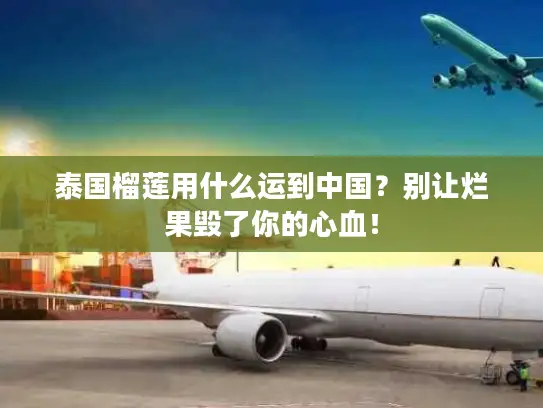 泰国榴莲用什么运到中国?别让烂果毁了你的心血! 泰国榴莲用什么运到中国?别让烂果毁了你的心血!