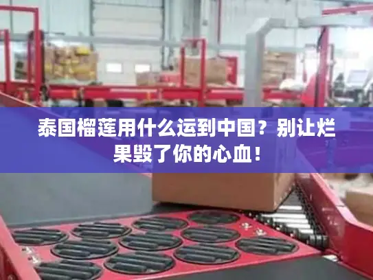 泰国榴莲用什么运到中国?别让烂果毁了你的心血! 泰国榴莲用什么运到中国?别让烂果毁了你的心血!