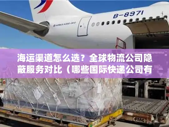 海运渠道怎么选？全球物流公司隐蔽服务对比（哪些国际快递公司有海运）