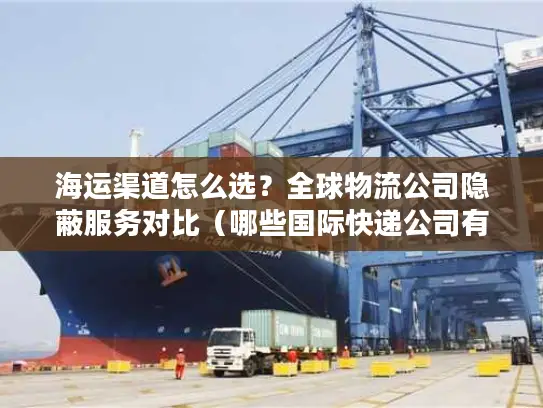 海运渠道怎么选？全球物流公司隐蔽服务对比（哪些国际快递公司有海运）