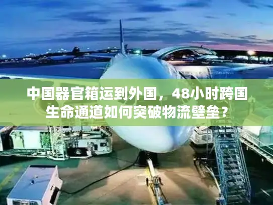 中国器官箱运到外国，48小时跨国生命通道如何突破物流壁垒？