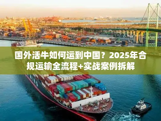 国外活牛如何运到中国？2025年合规运输全流程+实战案例拆解