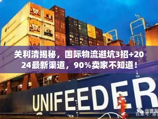 关利清揭秘，国际物流避坑3招+2024最新渠道，90%卖家不知道！