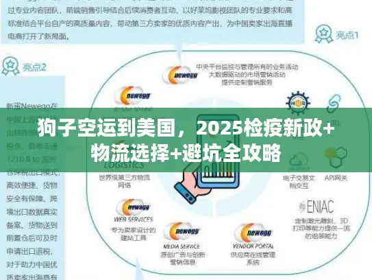 狗子空运到美国，2025检疫新政+物流选择+避坑全攻略