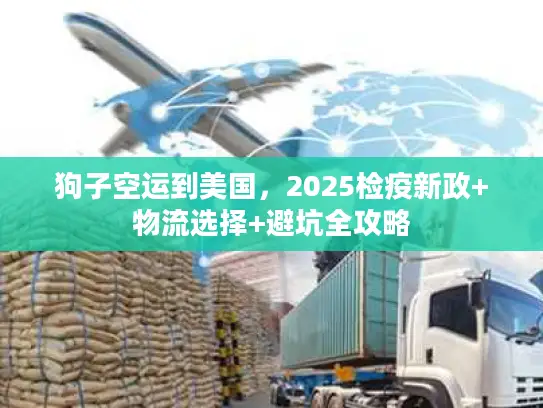 狗子空运到美国，2025检疫新政+物流选择+避坑全攻略