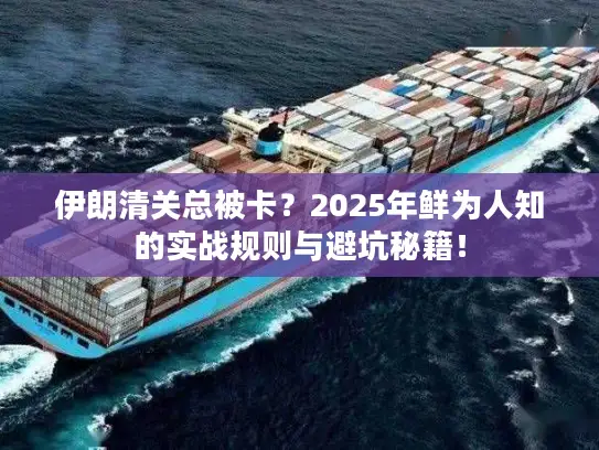 伊朗清关总被卡？2025年鲜为人知的实战规则与避坑秘籍！