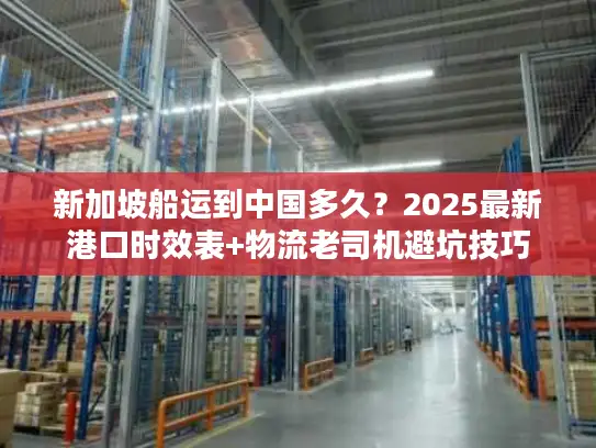 新加坡船运到中国多久？2025最新港口时效表+物流老司机避坑技巧