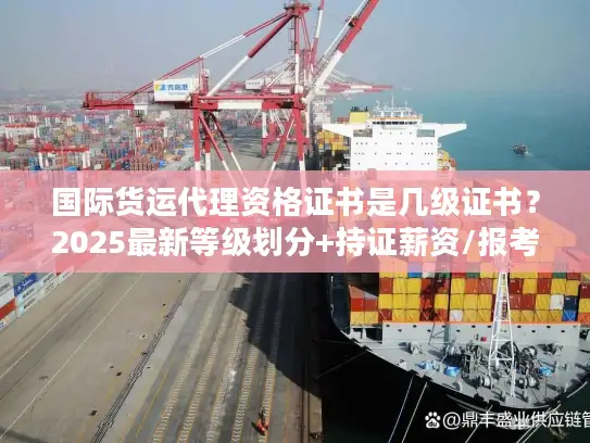 国际货运代理资格证书是几级证书？2025最新等级划分+持证薪资/报考避坑指南