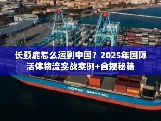 长颈鹿怎么运到中国？2025年国际活体物流实战案例+合规秘籍