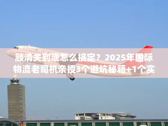 顾清关到底怎么搞定？2025年国际物流老司机亲授3个避坑秘籍+1个实战案例