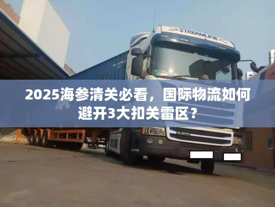 2025海参清关必看，国际物流如何避开3大扣关雷区？