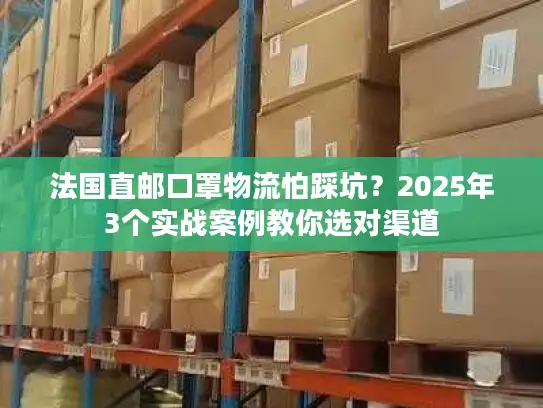 法国直邮口罩物流怕踩坑？2025年3个实战案例教你选对渠道
