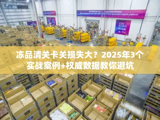 冻品清关卡关损失大？2025年3个实战案例+权威数据教你避坑