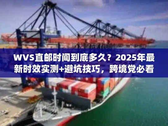 WVS直邮时间到底多久？2025年最新时效实测+避坑技巧，跨境党必看