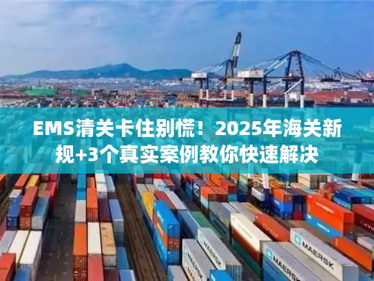 EMS清关卡住别慌!2025年海关新规+3个真实案例教你快速解决 EMS清关卡住别慌!2025年海关新规+3个真实案例教你快速解决