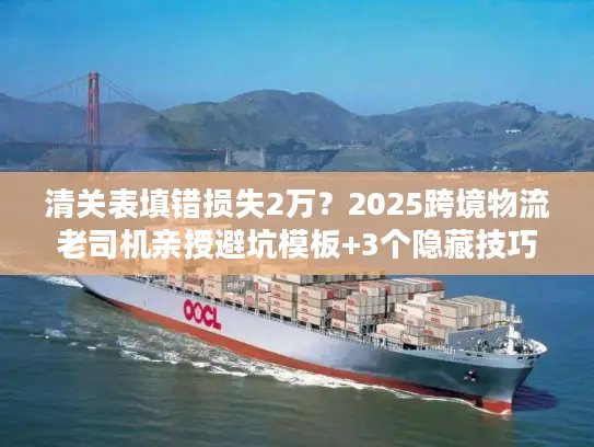 清关表填错损失2万？2025跨境物流老司机亲授避坑模板+3个隐藏技巧