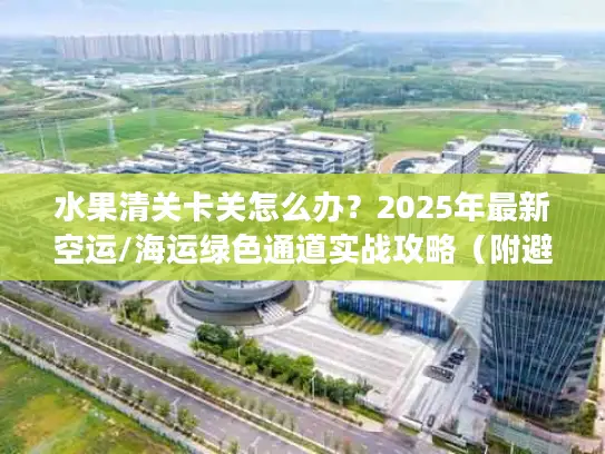 水果清关卡关怎么办？2025年最新空运/海运绿色通道实战攻略（附避坑清单）