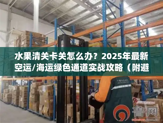 水果清关卡关怎么办？2025年最新空运/海运绿色通道实战攻略（附避坑清单）