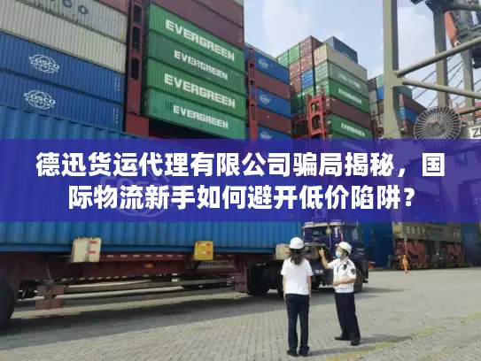 德迅货运代理有限公司骗局揭秘，国际物流新手如何避开低价陷阱？