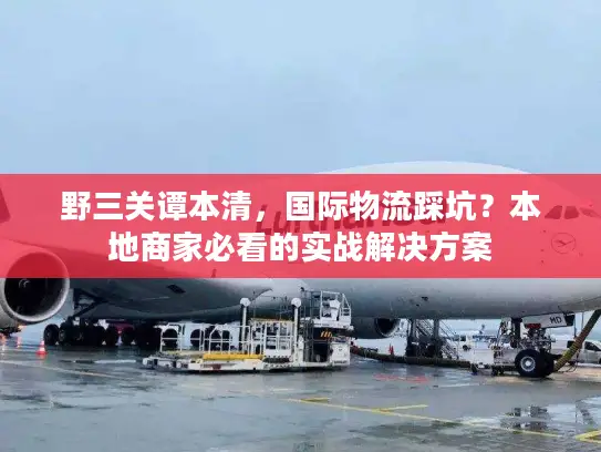 野三关谭本清，国际物流踩坑？本地商家必看的实战解决方案