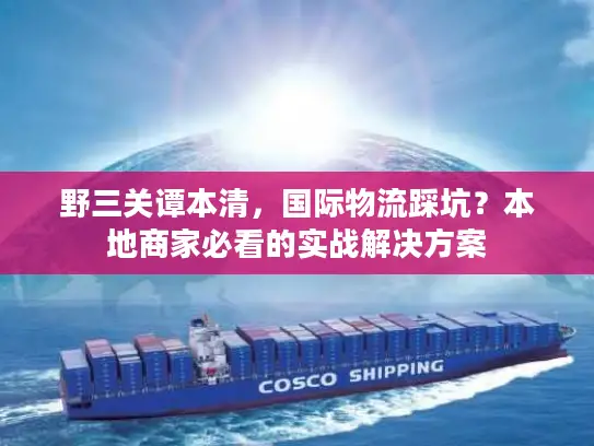 野三关谭本清，国际物流踩坑？本地商家必看的实战解决方案