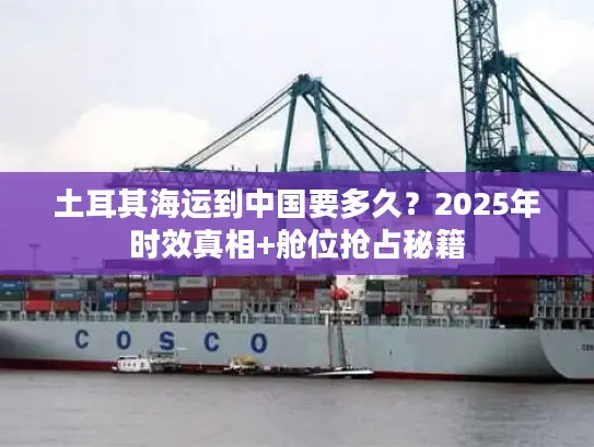 土耳其海运到中国要多久？2025年时效真相+舱位抢占秘籍