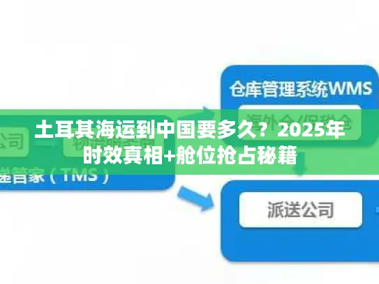 土耳其海运到中国要多久？2025年时效真相+舱位抢占秘籍