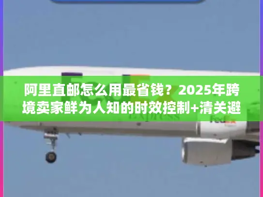 阿里直邮怎么用最省钱？2025年跨境卖家鲜为人知的时效控制+清关避坑实战技巧